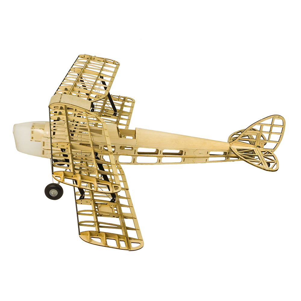 DW Hobby S19 Avión RC Tiger Mo - Rc Hobby Online reseña y precio