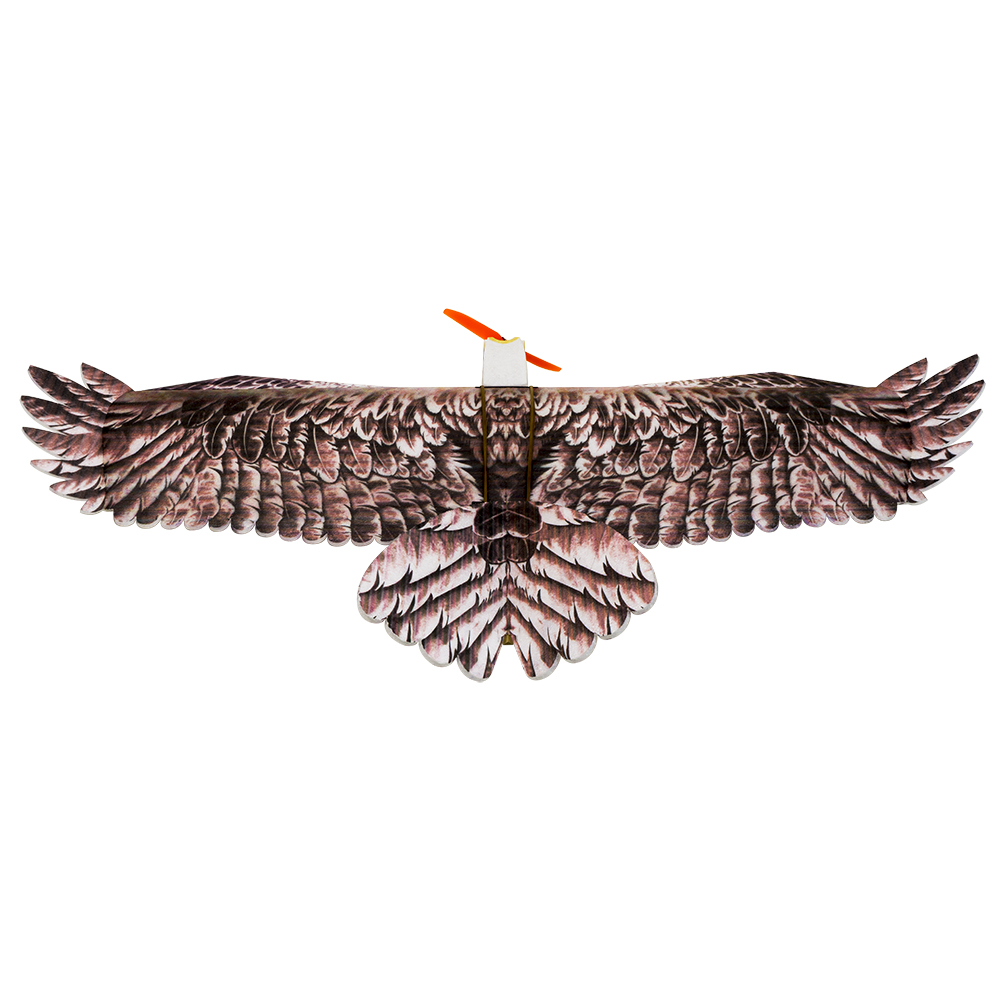 DW Hobby Eagle II EPP avión RC - Rc Hobby Online reseña y precio